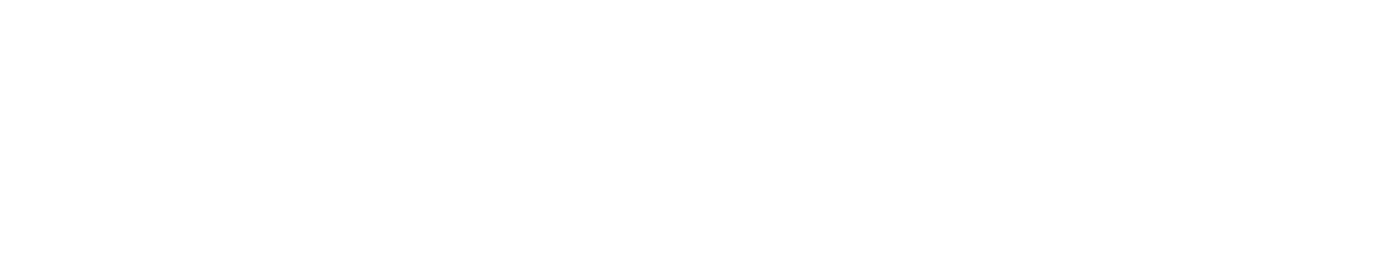 fluent logo